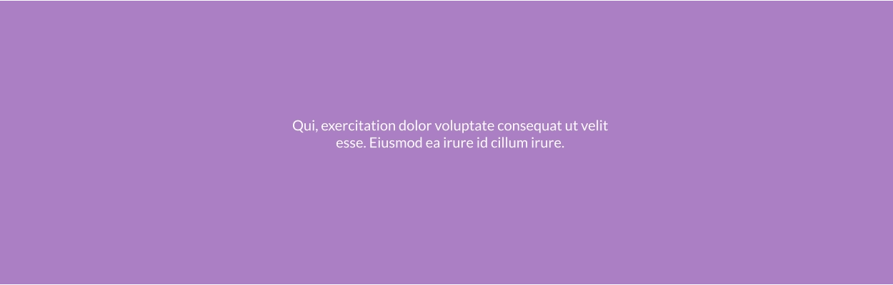 Qui, exercitation dolor voluptate consequat ut velit esse. Eiusmod ea irure id cillum irure.