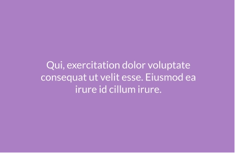 Qui, exercitation dolor voluptate consequat ut velit esse. Eiusmod ea irure id cillum irure.