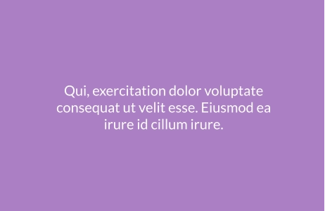 Qui, exercitation dolor voluptate consequat ut velit esse. Eiusmod ea irure id cillum irure.
