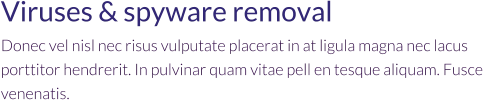 Viruses & spyware removal Donec vel nisl nec risus vulputate placerat in at ligula magna nec lacus porttitor hendrerit. In pulvinar quam vitae pell en tesque aliquam. Fusce venenatis.